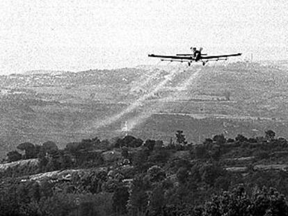 Las fumigaciones y el uso de pesticidas es una fuente de contaminación que se acumula en el ambiente.