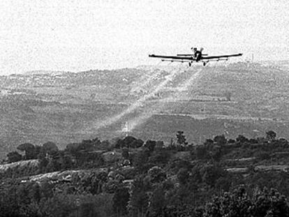 Las fumigaciones y el uso de pesticidas es una fuente de contaminación que se acumula en el ambiente.