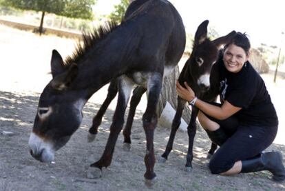 Algunos de los burros acogidos por Burrolandia