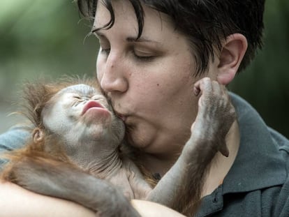 El planeta de los animales