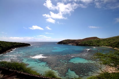 La reserva natural de la bahía de Hanauma, en Hawaii Kai.