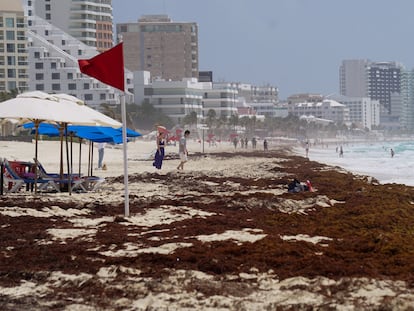 Turistas caminan frente a montículos de sargazo, en Cancún, Quintana Roo, el 25 de mayo de 2022.