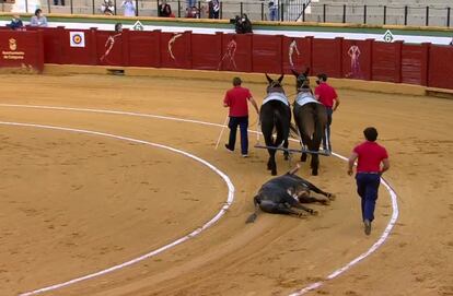 Vuelta al ruedo para el tercer toro de la tarde.