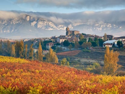 Colores de otoño en Rioja Alavesa con la silueta de Navaridas y la sierra de Cantabria al fondo.