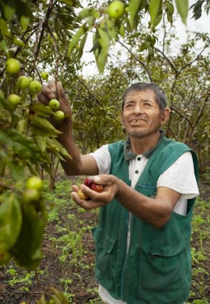 Pablo Villegas y la fruta camu camu.