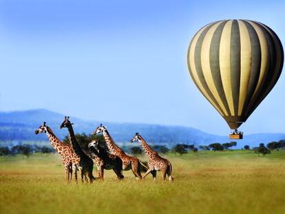 Vuelo en globo sobre el Serengueti (Tanzania). 