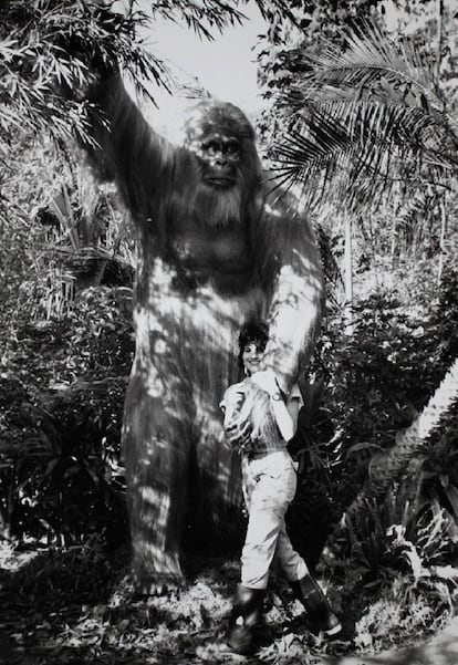 Una mujer posa junto a una reconstrucción a tamaño natural del gigantopiteco en una foto de archivo.