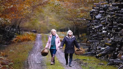 Hélène Vincent y Josiane Balasko, en 'Cuando cae el otoño'.
