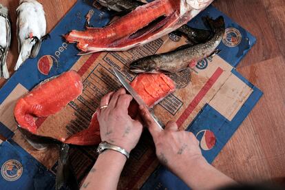 "Una vez que una persona conecta con la tierra, nunca jamás podrás quitárselo", dice Katie Winters, de 54 años; ella ayudó a traducir los títulos de tierra de las comunidades Inuit de Terranova. En la imagen, Winters corta una trucha ártica para hacer "pitsik" (pescado seco) en su casa en Nain.