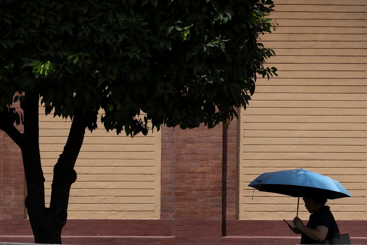 La ola de calor se intensifica en España con 16 comunidades bajo aviso de altas temperaturas | Clima y Medio Ambiente