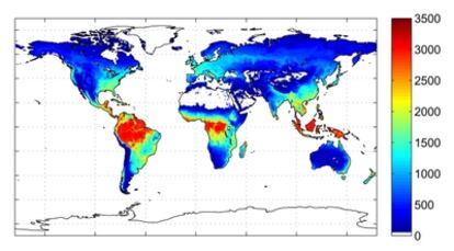 Distribución de la absorción anual de CO2 por la vegetación