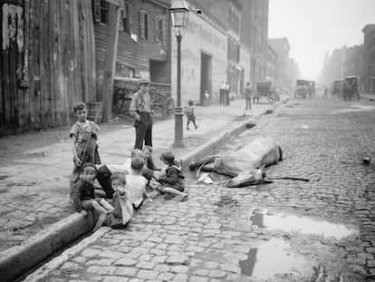 Un grupo de niños juega al lado de un caballo muerto en Nueva York, hacia 1900.