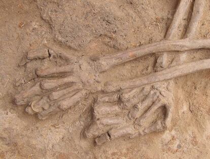 Un cadáver en la fosa de La Andaya (Burgos) con una alianza en la mano izquierda.