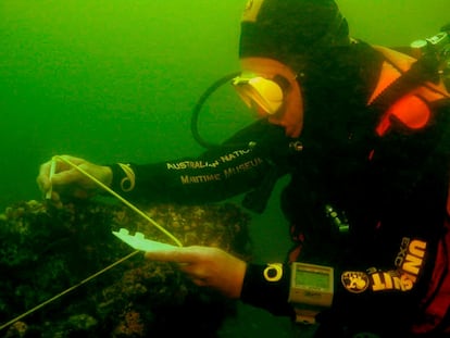 Un arqueólogo del Museo Marítimo de Australia examina los restos del 'Endeavour' hallados en las agua de Rhode Island (Estados Unidos).