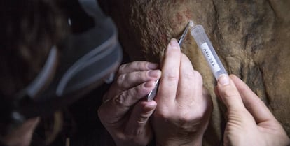 Toma de muestras en la Cueva de Ardales.