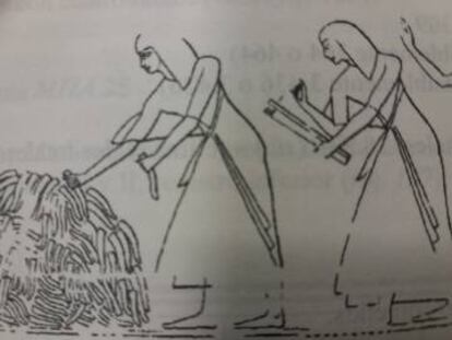 Escribes de l'exèrcit del faraó comptant penis (!) tallats a l'enemic per comptabilitzar les baixes. També es comptaven les mans, però calia dividir-les per dos. Dibuix d'un relleu del temple de Medinet Habu.