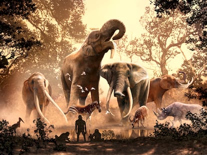 Hace unos 4 millones de años, un australopithecus observa la riqueza de proboscídeos en lo que hoy es Turkana, Kenia. De izquierda a derecha 'Anancus ultimus', 'Deinotherium bozasi', 'Loxodonta adaurora' y 'Loxodonta exoptata'.