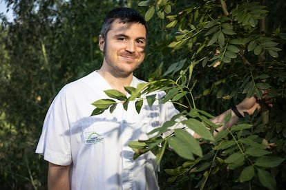 El pediatra ambiental Ferran Campillo este lunes en el Bosque para la Salud del Hospital d'Olot i Comarcal de la Garrotxa (Girona).