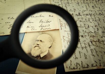El propio Darwin sería considerado un racista por los criterios actuales.