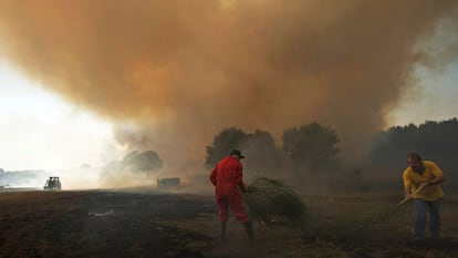 Vecinos de Gulfar apagan con la ayuda de tractores varios pequeños focos en una granja porcina de Coren el pasado 17 de octubre.