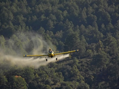 Una avioneta esparce un producto biolgico a muy baja concentracin en un pinar afectado de Catalu?a. 