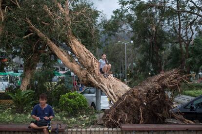 Un árbol caído tras el paso del tifón Mangkhut en Hong Kong (China), el 17 de septiembre de 2018.