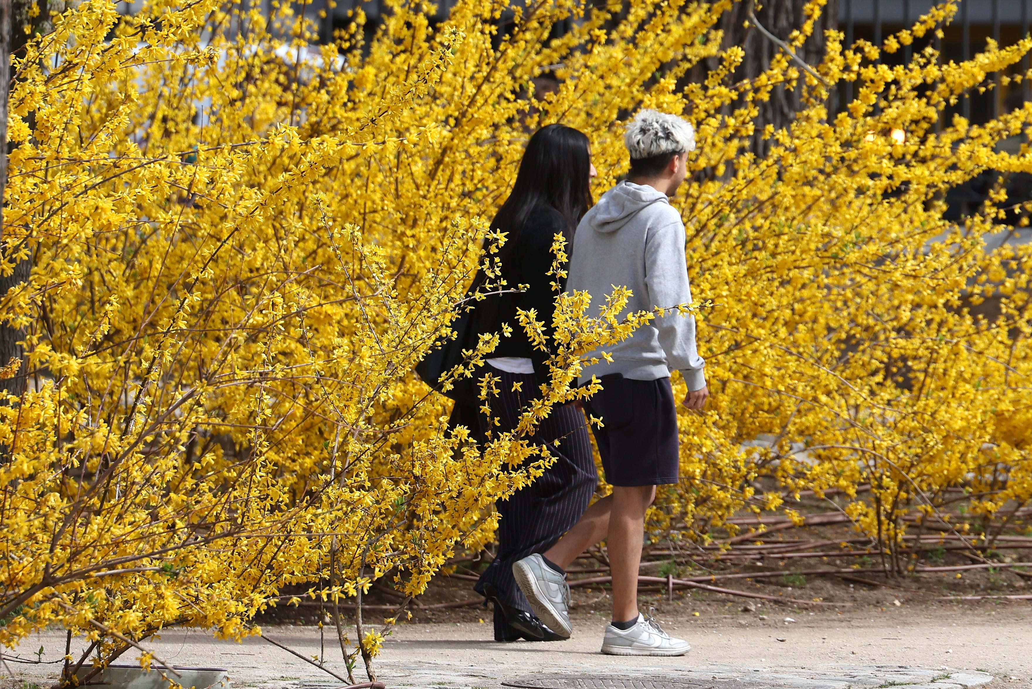 Dos personas pasean por el parque del Retiro de Madrid, este miércoles. 