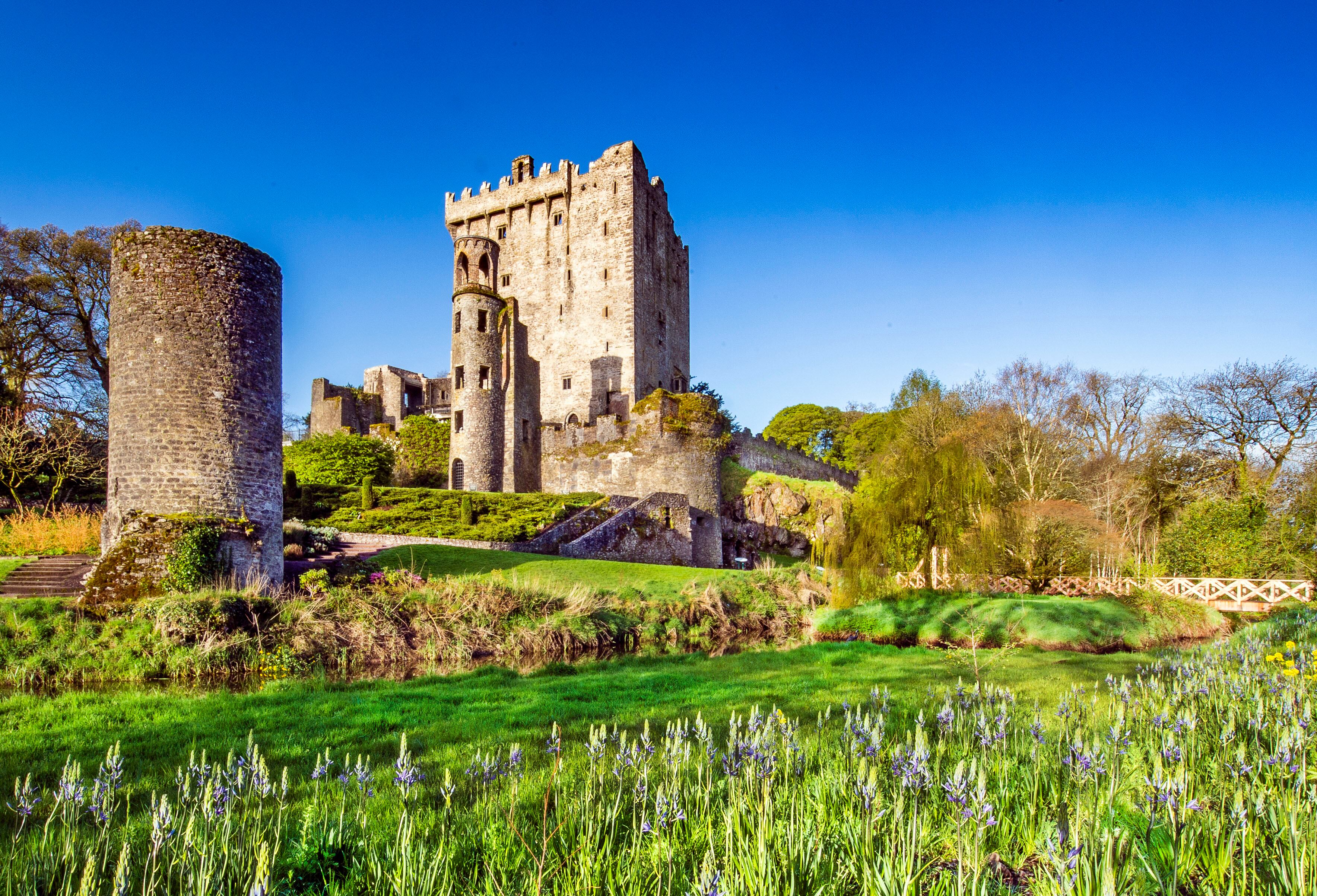 El castillo de Blarney, fundado a principios del siglo XIII, fue destruido en 1446. Los jardines y la torre del homenaje son sus vestigios visitables. En la parte superior de se conserva la piedra de la elocuencia o piedra de Blarney. 