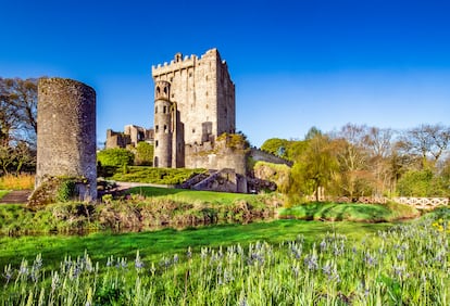 El castillo de Blarney, fundado a principios del siglo XIII, fue destruido en 1446. Los jardines y la torre del homenaje son sus vestigios visitables. En la parte superior de se conserva la piedra de la elocuencia o piedra de Blarney.