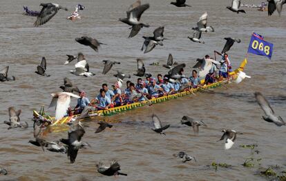 Varias palomas vuelan frente a una embarcación participante en la carrera celebrada anualmente en el ámbito del Festival del Agua en el río Tonle Sap, en Phnom Penh (Camboya).