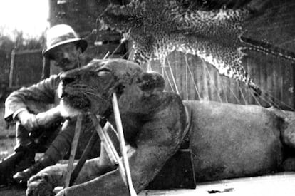 El teniente coronel John Patterson con uno de los leones antropófagos del Tsavo.