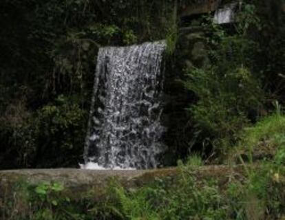 La minihidráulica aprovecha el cauce de los ríos y los saltos de agua para producir electricidad.