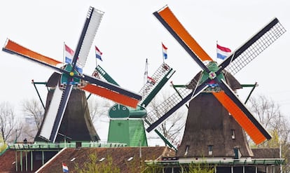 Molinos decorados con motivos naranjas por sus propietarios durante la investidura del rey Guillermo y su esposa, la reina consorte Máxima, en Ámsterdam (Holanda).