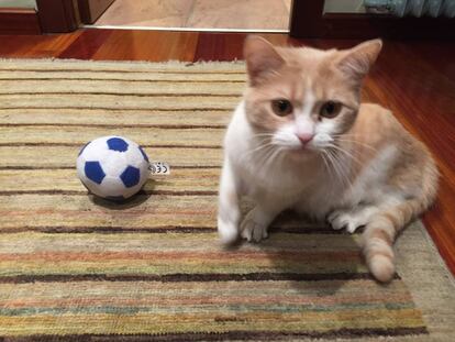 'Mía' y su pelota del Oviedo.