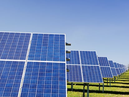 Filas de paneles solares en un parque fotovoltaico.
