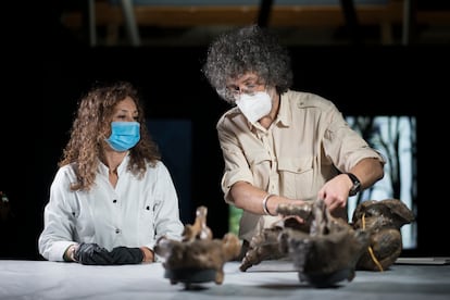 La conservadora Inma Machí y el coordinador de exposiciones Álex Pérez durante el montaje del mamut. 