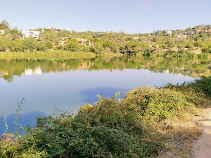 Presa Los Peñascales