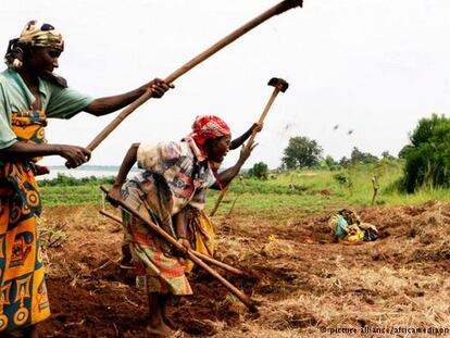 Campesinas en Burundi / DW