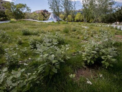 El parc de l'Estació del Nord, a l'Eixample de Barcelona.