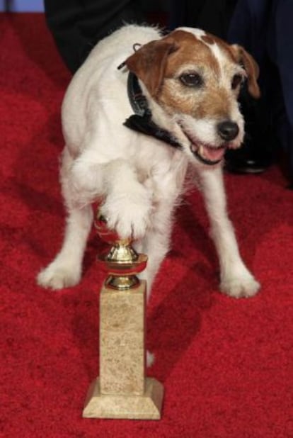 El perro Uggie, protagonista de &#039;The artist&#039;.