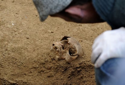 El arqueólogo de la fosa de Gerena descubre uno de los cráneos enterrados.