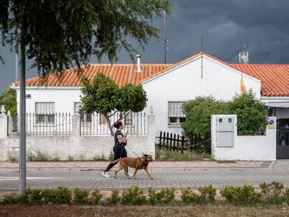 Una mujer pasea con su perro por la colonia Campamento.