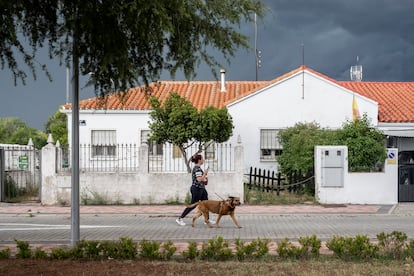 Una mujer pasea con su perro por la colonia Campamento.