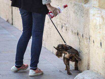 Una propietaria usa una botella de agua para limpiar el pis de su mascota en una calle de Valencia. 