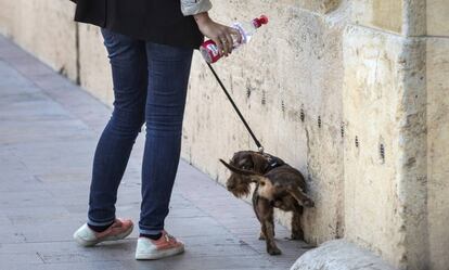 Una propietaria usa una botella de agua para limpiar el pis de su mascota en una calle de Valencia.