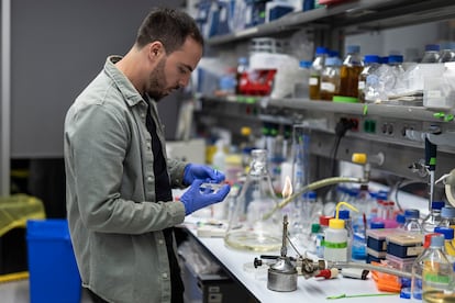 El bioinformático Antoni Beltran, en su laboratorio del Centro de Regulación Genómica, en Barcelona.