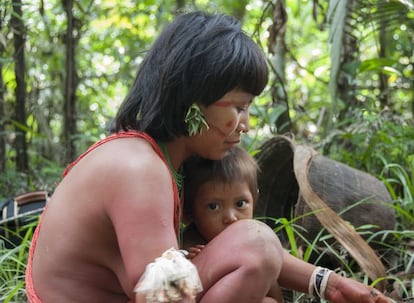 Los ni?os yanomamis aprenden a leer el rastro de los animales, a utilizar la savia de las plantas como veneno y a escalar los rboles haciendo uso de lianas que se atan a los pies. "En aquellos das mi madre siempre me llevaba con ella a la selva para buscar cangrejos, pescar con timb o recolectar frutos silvestres. Tambin sola ir con ella a los campos cuando necesitbamos cosechar yuca, pltanos o cortar le?a. A veces los cazadores tambin me llamaban de madrugada cuando iban a salir hacia la selva. As es cmo crec yo en la selva".  Davi Kopenawa Yanomami, Brasil.