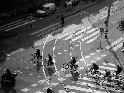 Un grupo de ciclistas circula por una calle de &Aacute;msterdam.
