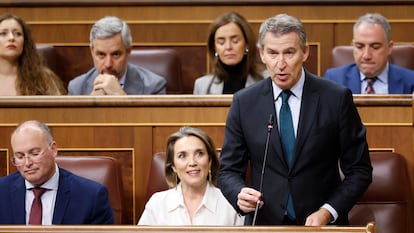 El líder del PP, Alberto Núñez Feijóo, durante su intervención en la sesión control al Gobierno este miércoles en el Congreso.