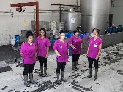 Las Mulleres Colleiteiras en la nave de Iñas (A Coruña) donde procesan el aceite usado que recogen en cinco municipios de la provincia.